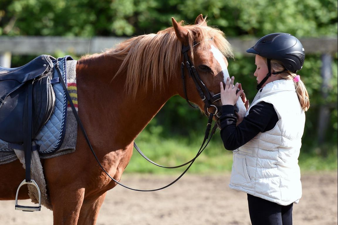 Full Circle Foundation Foster Care Equine Program