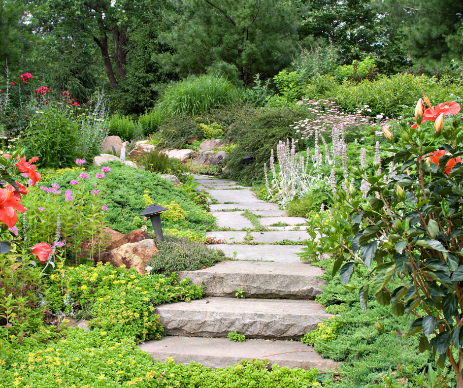 A garden in Vermont with native plants and flowers and a stone pathway. 