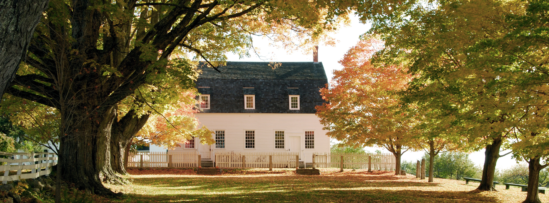 A white house with a black roof is surrounded by trees