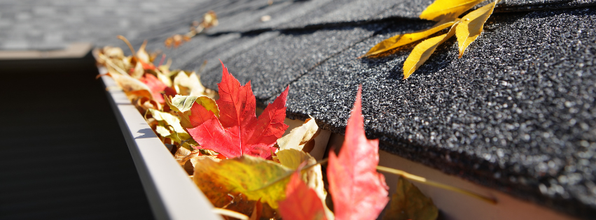 A close up of a gutter filled with leaves on a roof in Vermont.