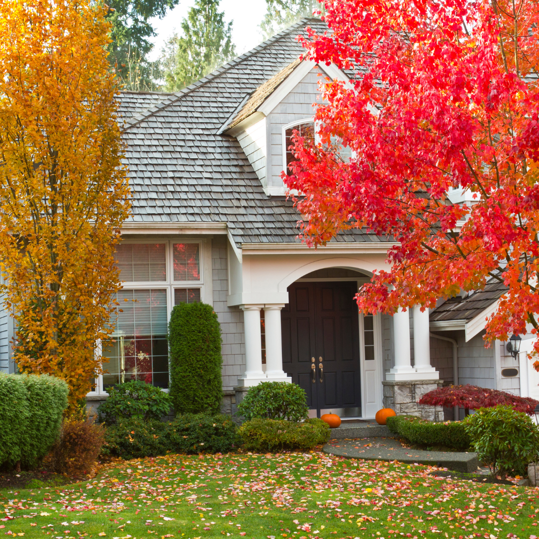 A Vermont home with wooden shingles, white columns and two trees out front with yellow and red leaves.