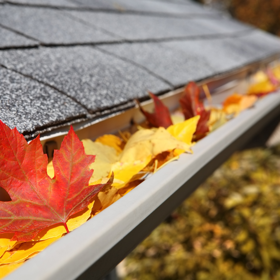Protecting your home from water damage by cleaning out gutters is a great home-improvement hack for Fall