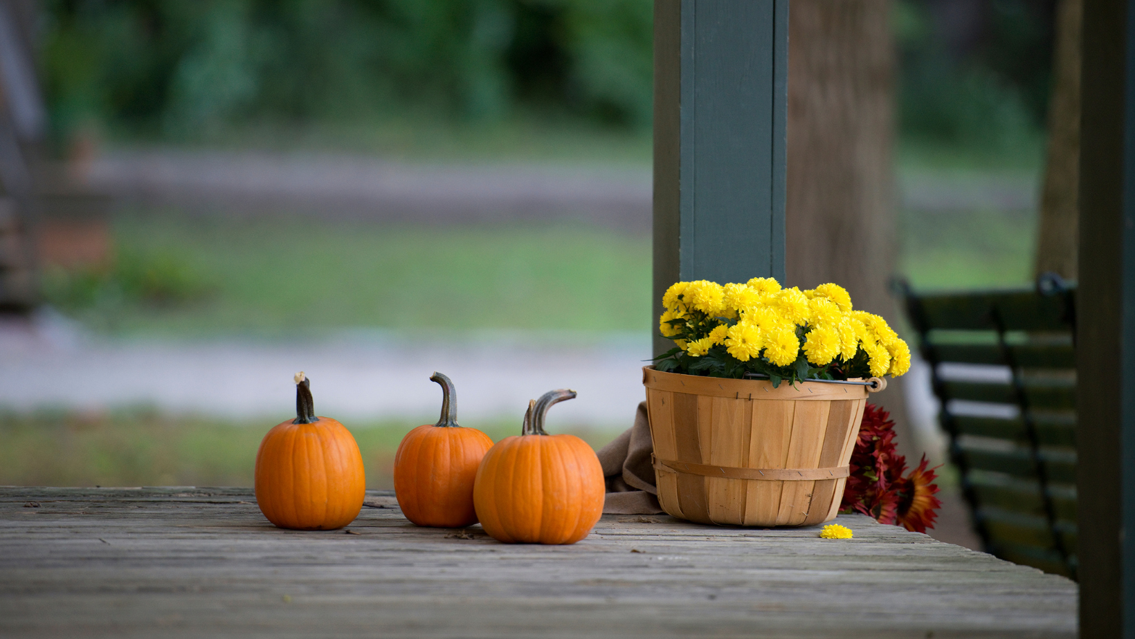 A Vermont porch with three pumpkins and bright yellow flowers in a wooden basket.