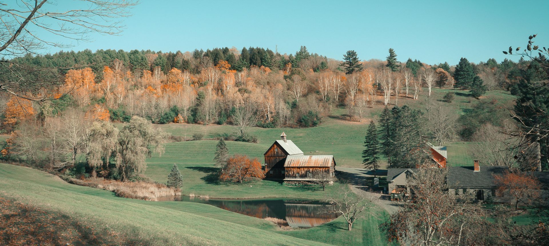 A farm with a pond and trees in the background