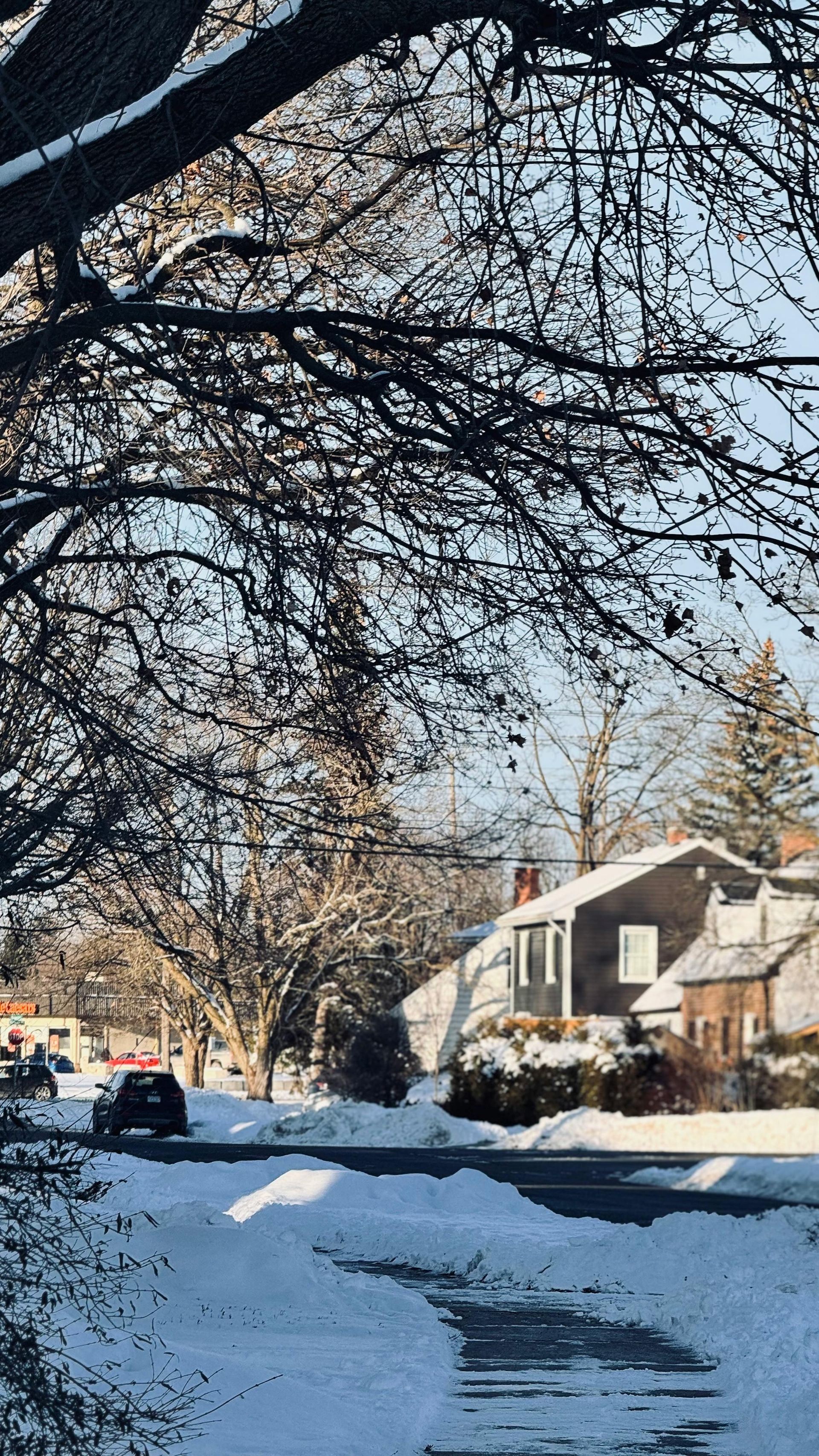 A snowy street with houses and trees in the background in Vermont