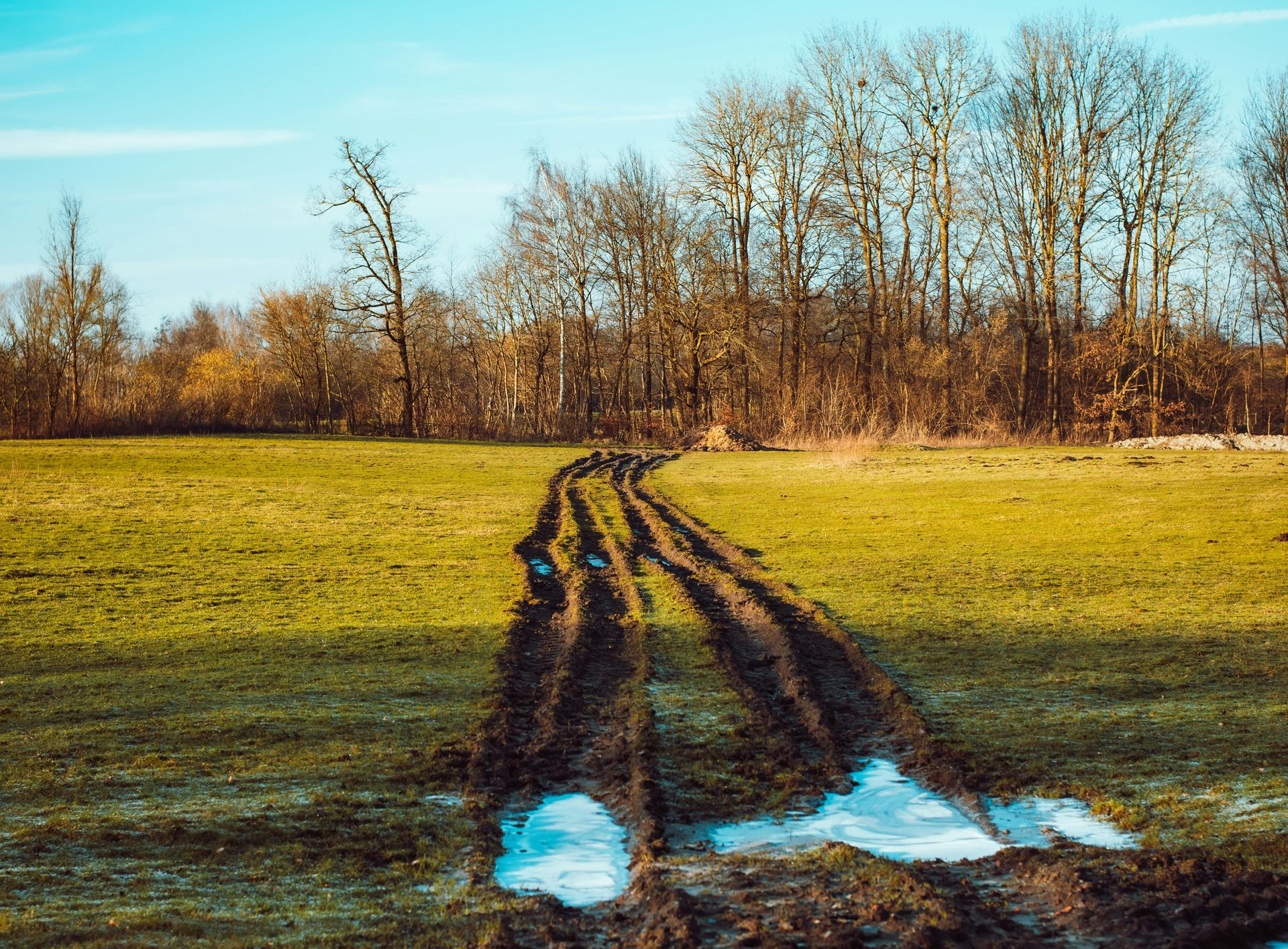 Deep muddy tire tracks lead through a green field toward a line of bare trees under a bright blue sky.