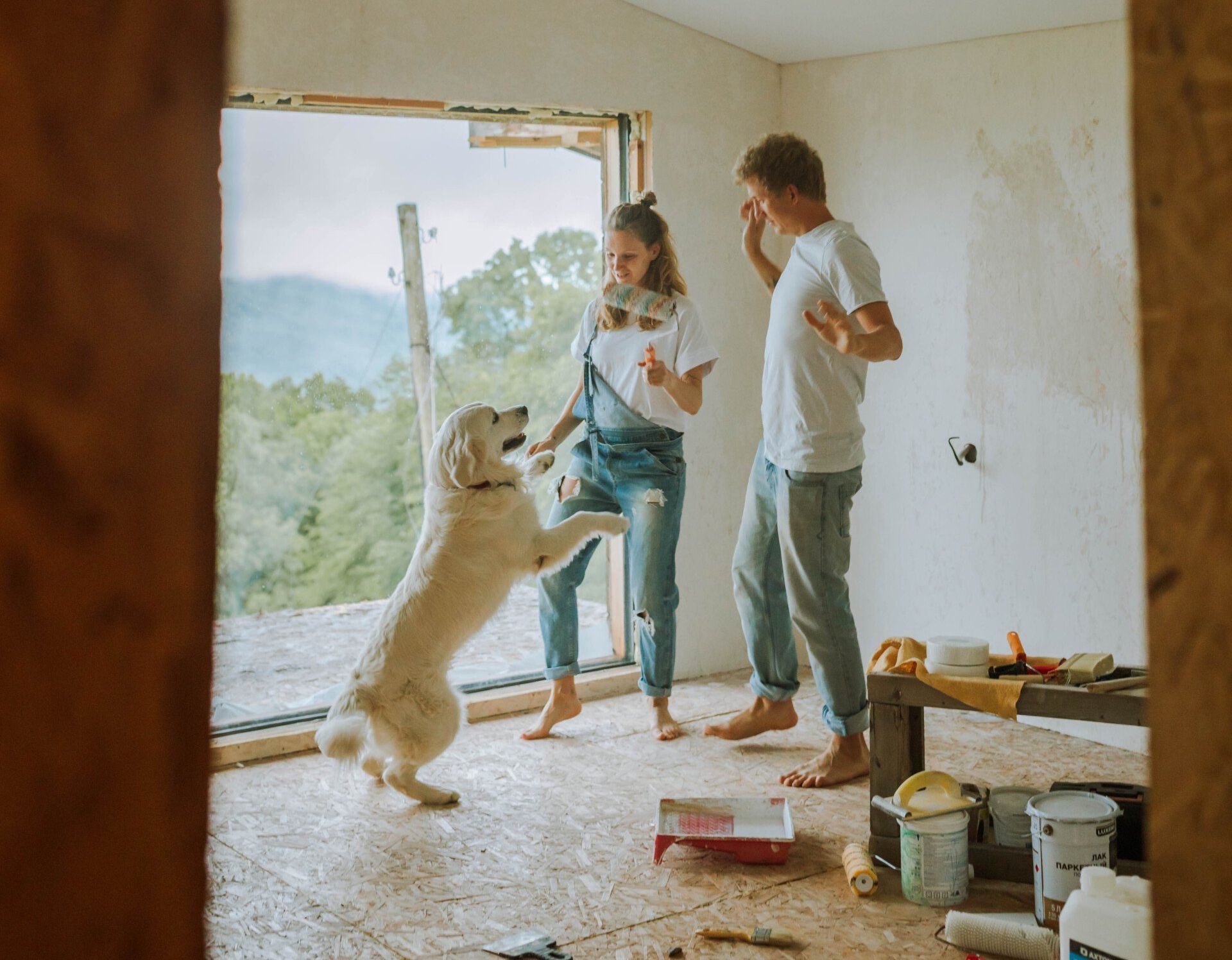 Two people and a dog renovating their home's interior.
