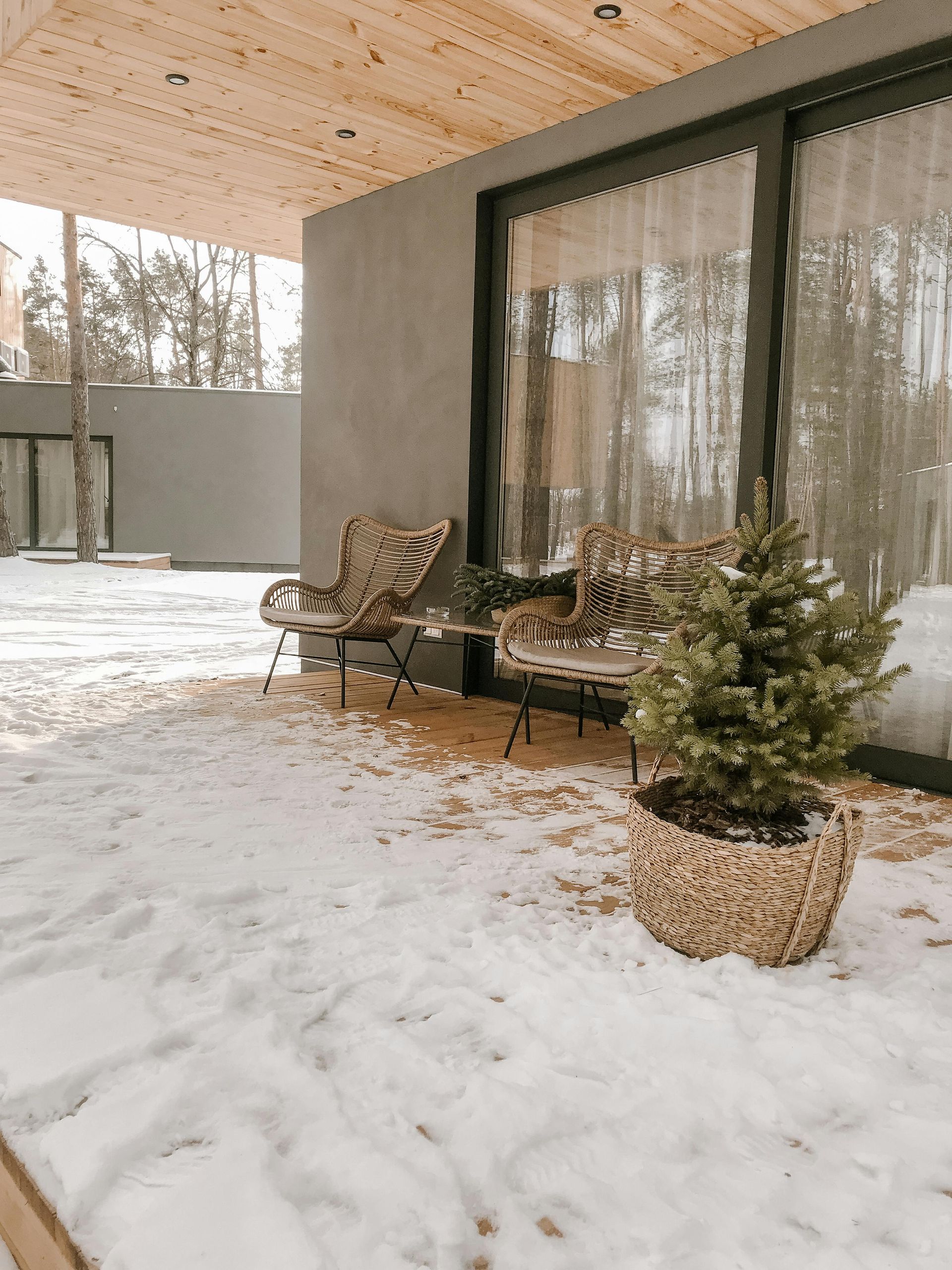 A small christmas tree is in a pot on a snowy porch.