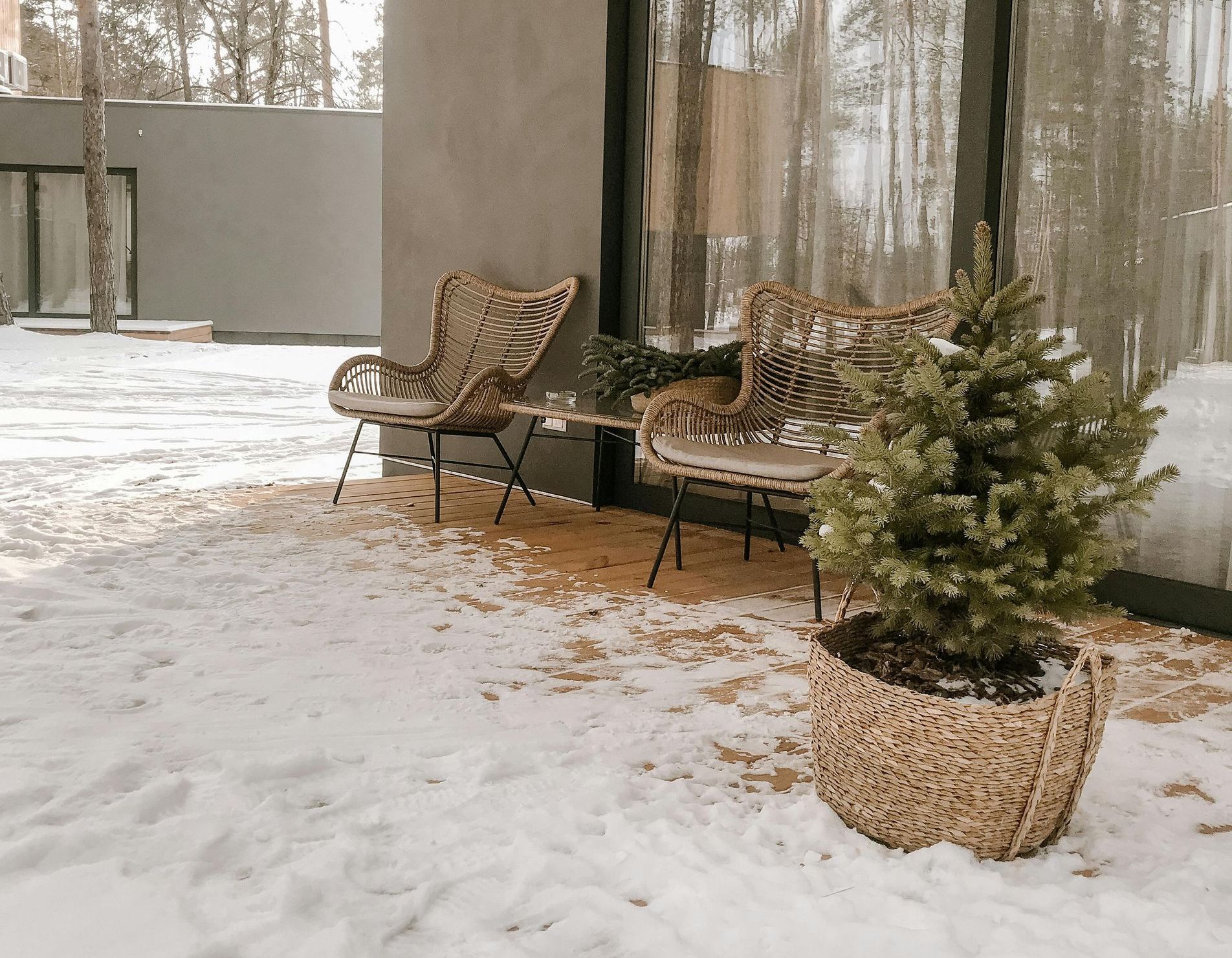 A small christmas tree in a basket on a snowy porch