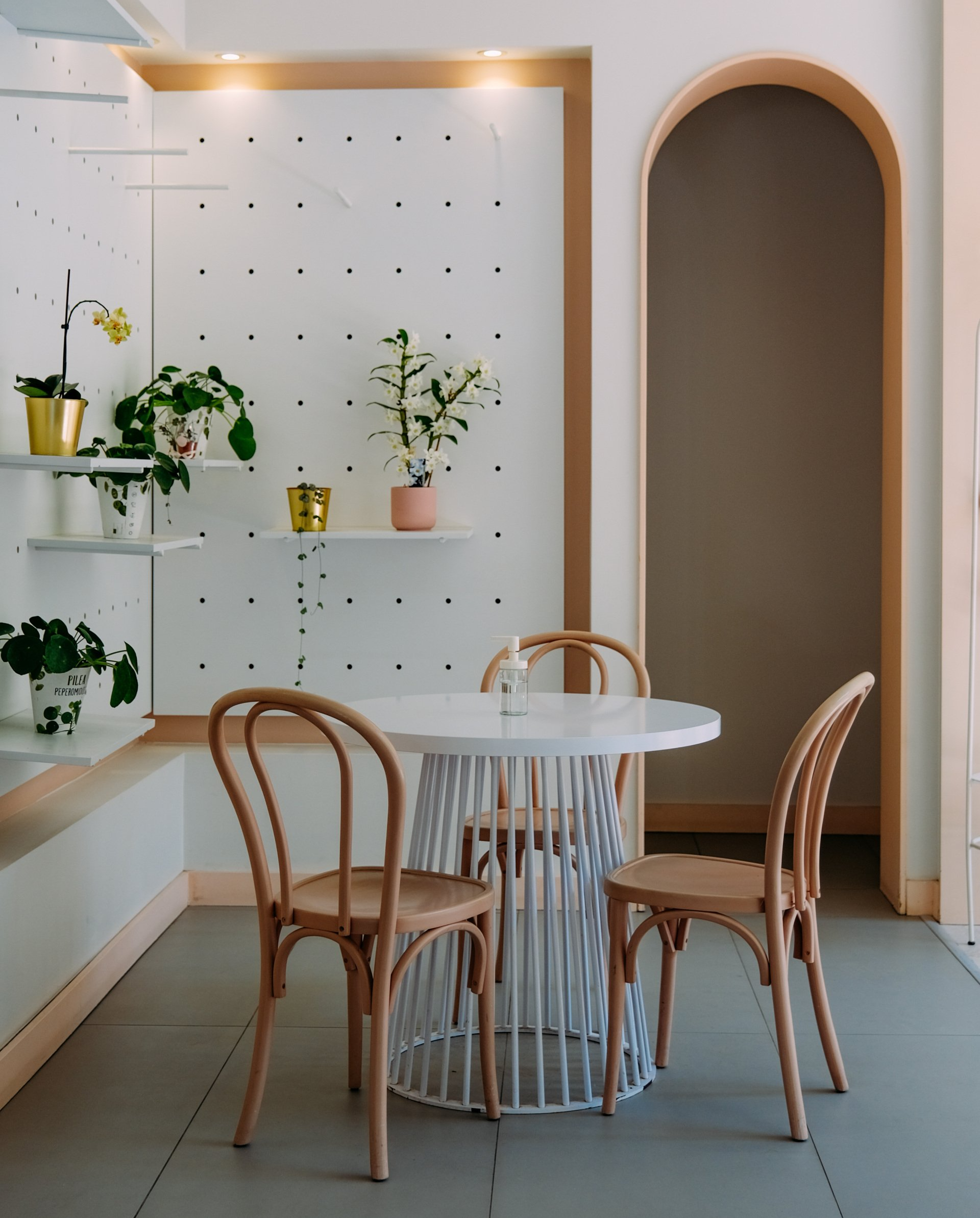 curved table and curved back chairs with potted plants on shelves