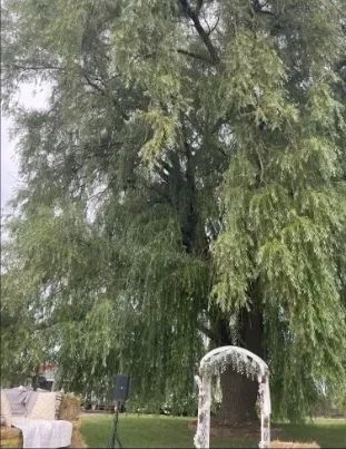 The Willow Wedding Venue & Event Center 18