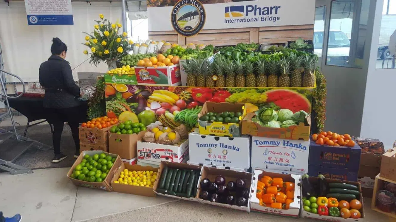 The Pharr-Reynosa International Bridge is one of the largest land port for fruits and vegetables in the nation. (Photo: Customs and Border Protection) The Pharr-Reynosa International Bridge is one of the largest land port for fruits and vegetables in the nation. (Photo: Customs and Border Protection)