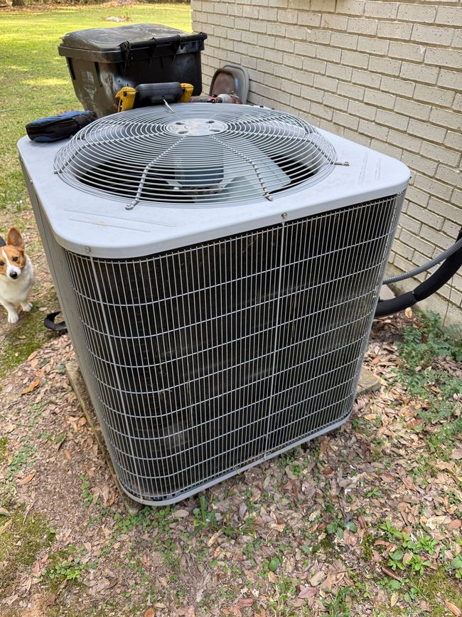 Outdoor HVAC condenser unit beside a brick wall, with a dog peeking in from the left.
