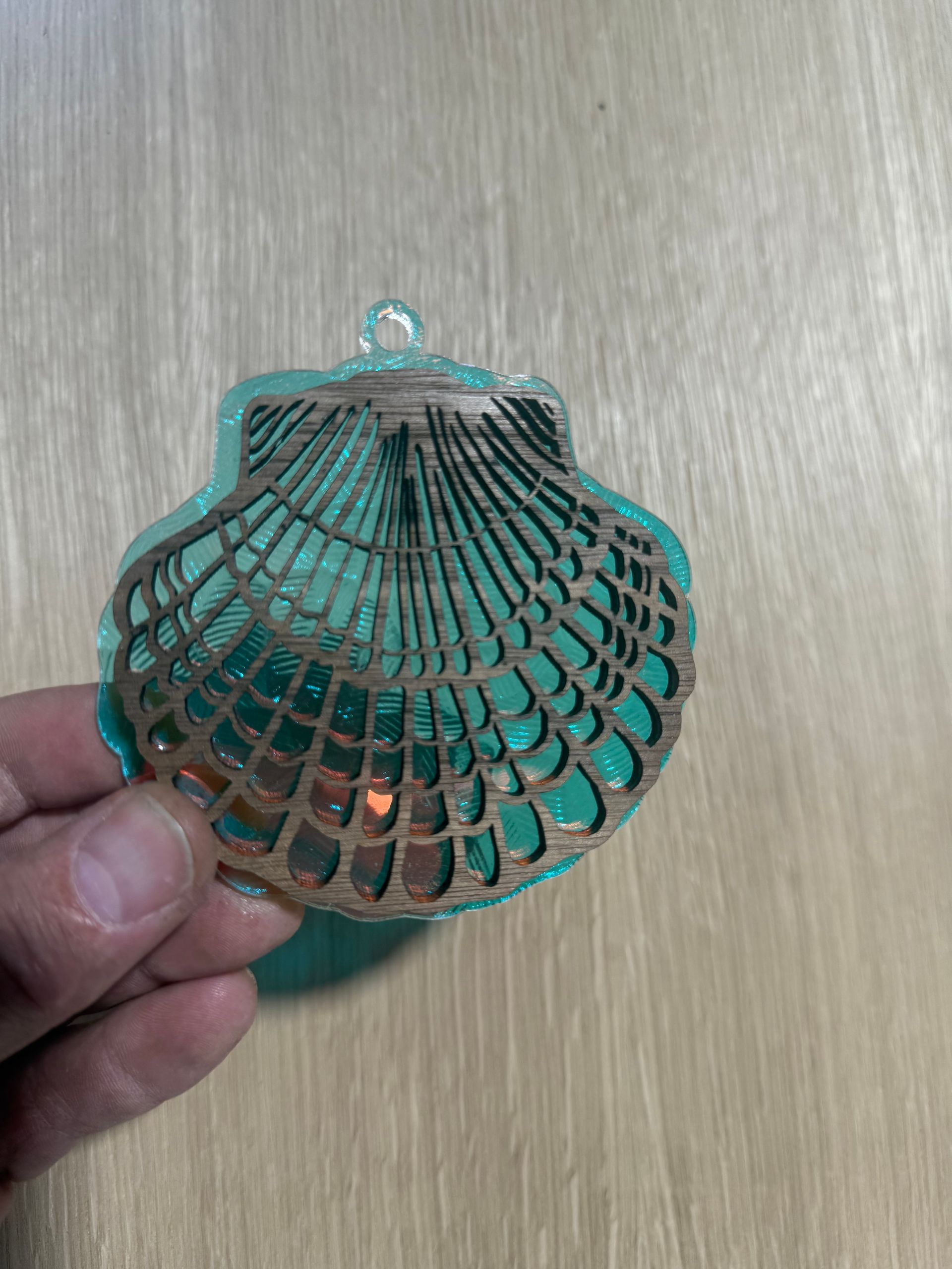 A person is holding a sea shell in their hand on a wooden table.