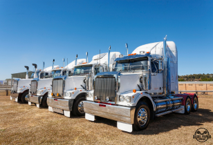 A row of semi trucks are parked in a field in Colorado.