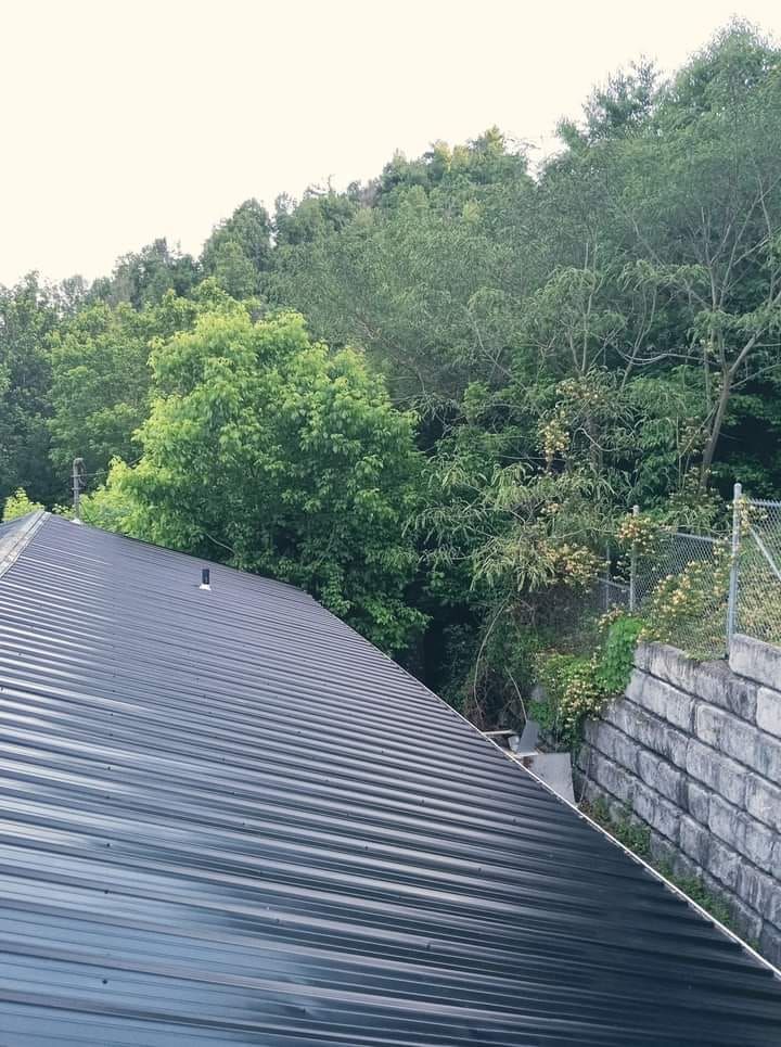 The roof of a building is surrounded by trees and a stone wall.