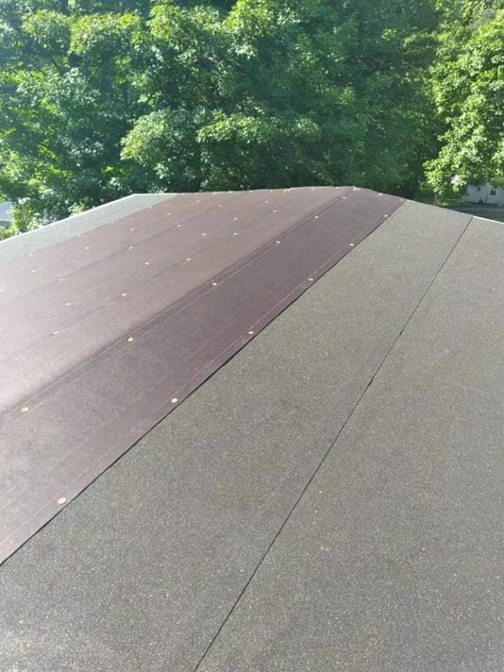 A close up of a roof with trees in the background.