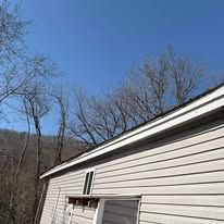 The roof of a house with trees in the background and a blue sky.