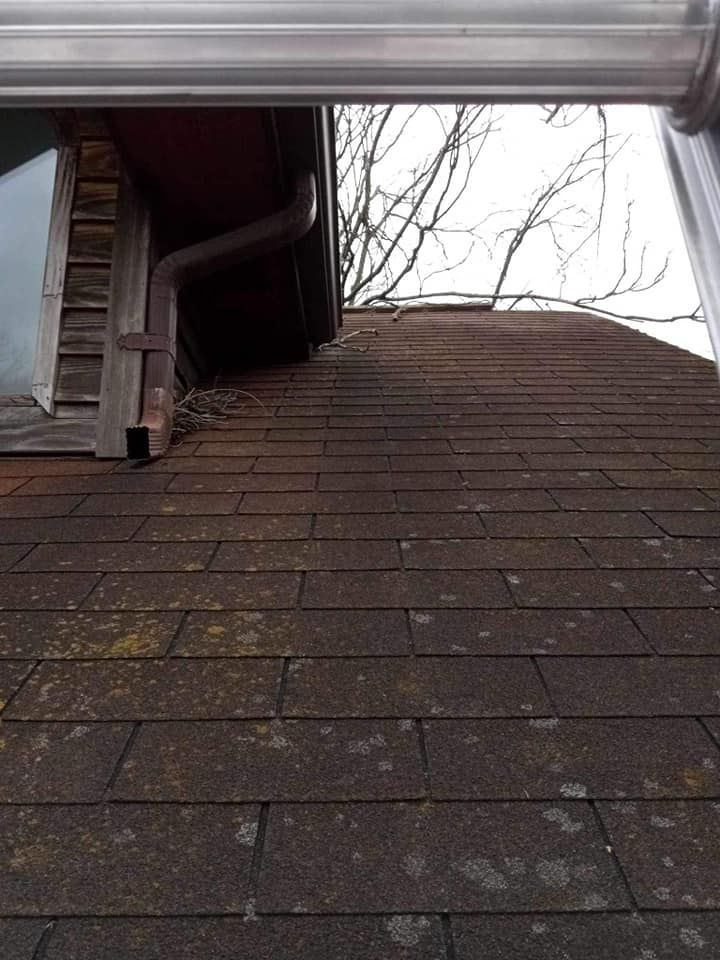 Looking up at the roof of a house with a ladder.