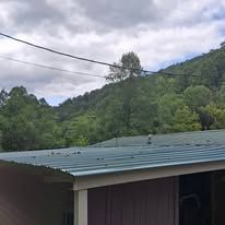 A house with a metal roof and trees in the background.