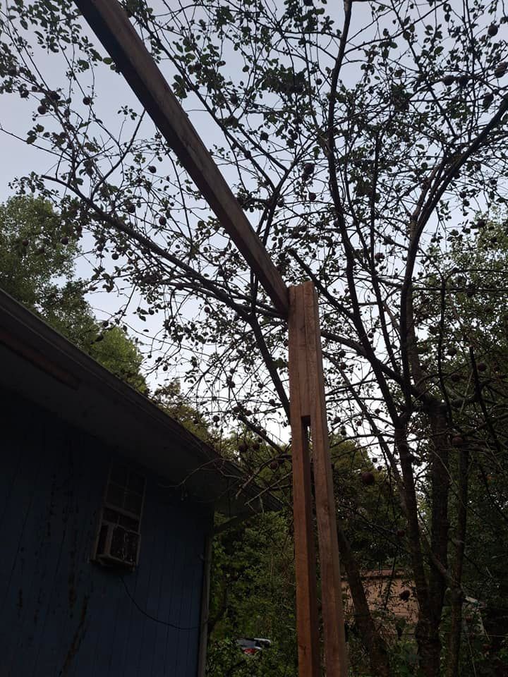 A blue house is surrounded by trees and a wooden structure
