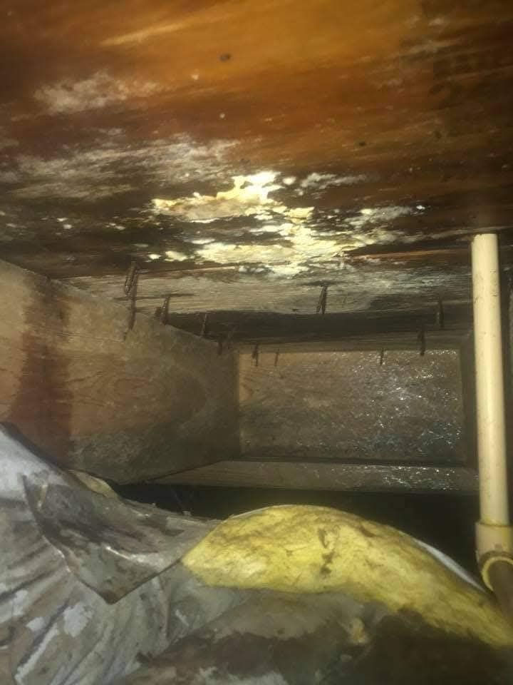 A dirty basement with a lot of mold on the ceiling.
