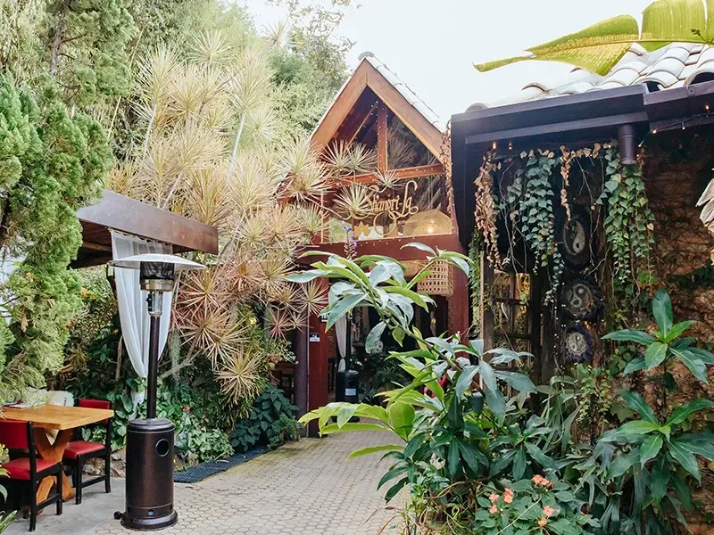 Um exuberante pátio externo para refeições, com uma estrutura de madeira, vegetação, aquecedor e uma mesa com cadeiras vermelhas.