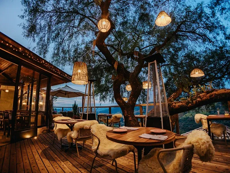 Pátio externo com mesas e cadeiras de madeira revestidas de pele sintética, sob uma grande árvore decorada com luzes globulares brilhantes.