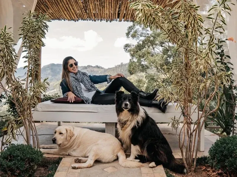 Uma pessoa de óculos escuros está sentada em uma espreguiçadeira ao ar livre, com um labrador amarelo e um cachorro preto e branco descansando por perto.
