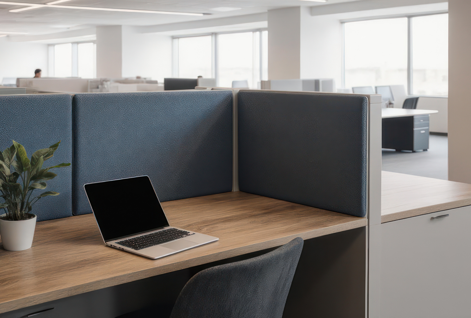 Laptop on a wooden desk in an office cubicle with blue acoustic panels.
