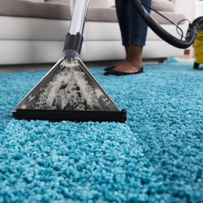 Person vacuuming a blue shag carpet with a wet vacuum cleaner in a living room.