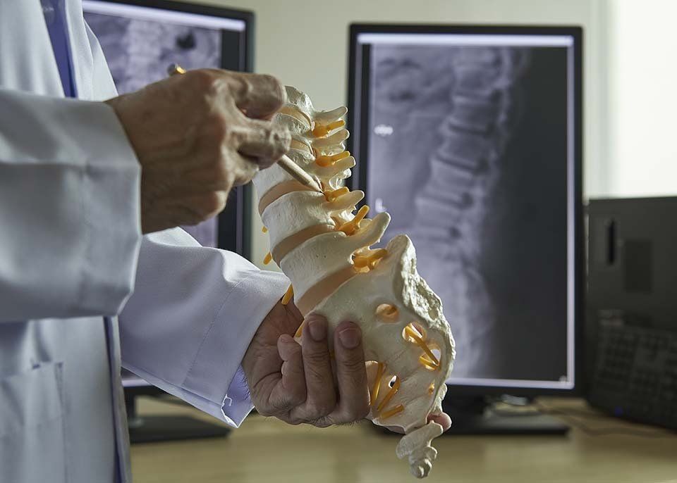 ortopedico con protesi vertebrale