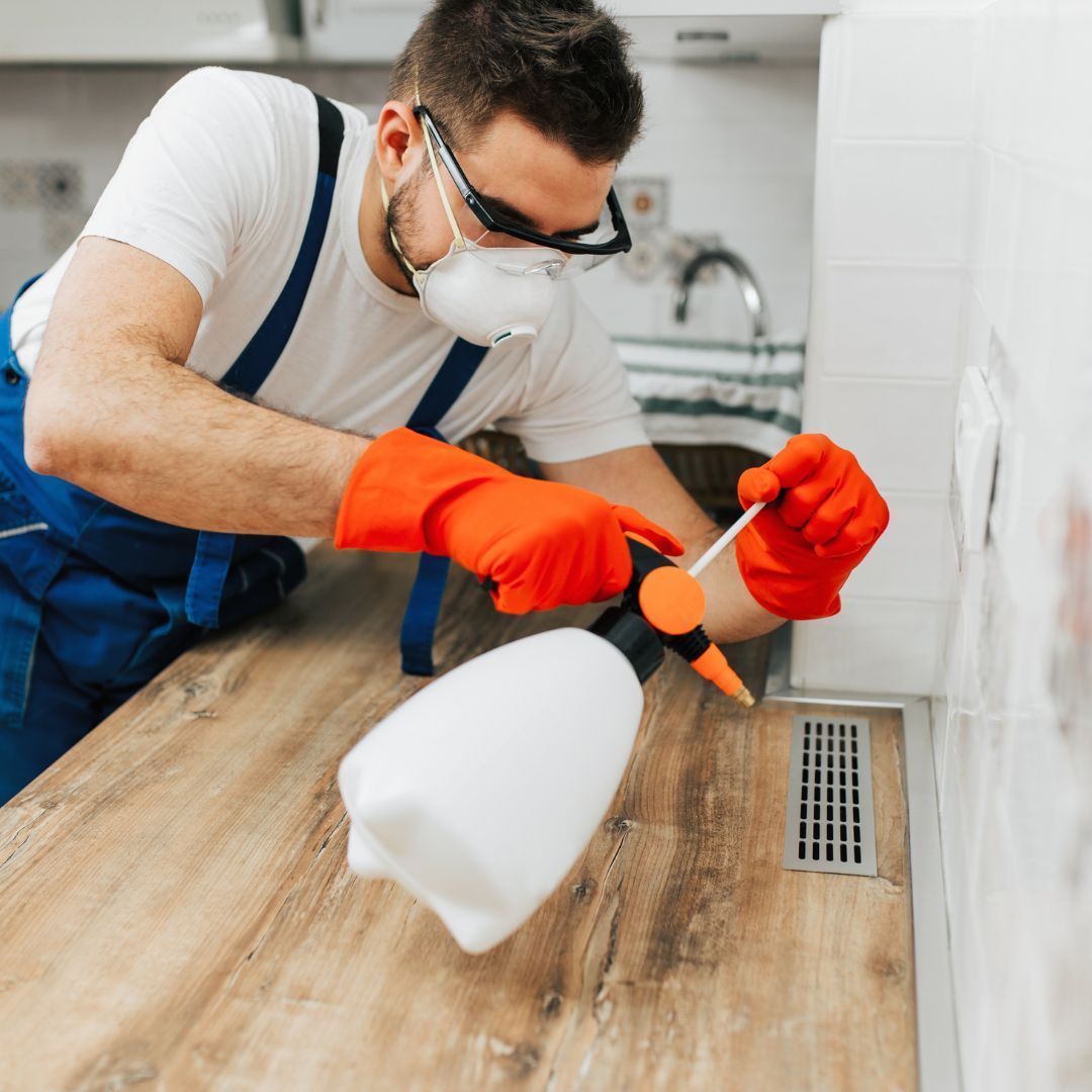 What Makes a Good Exterminator?