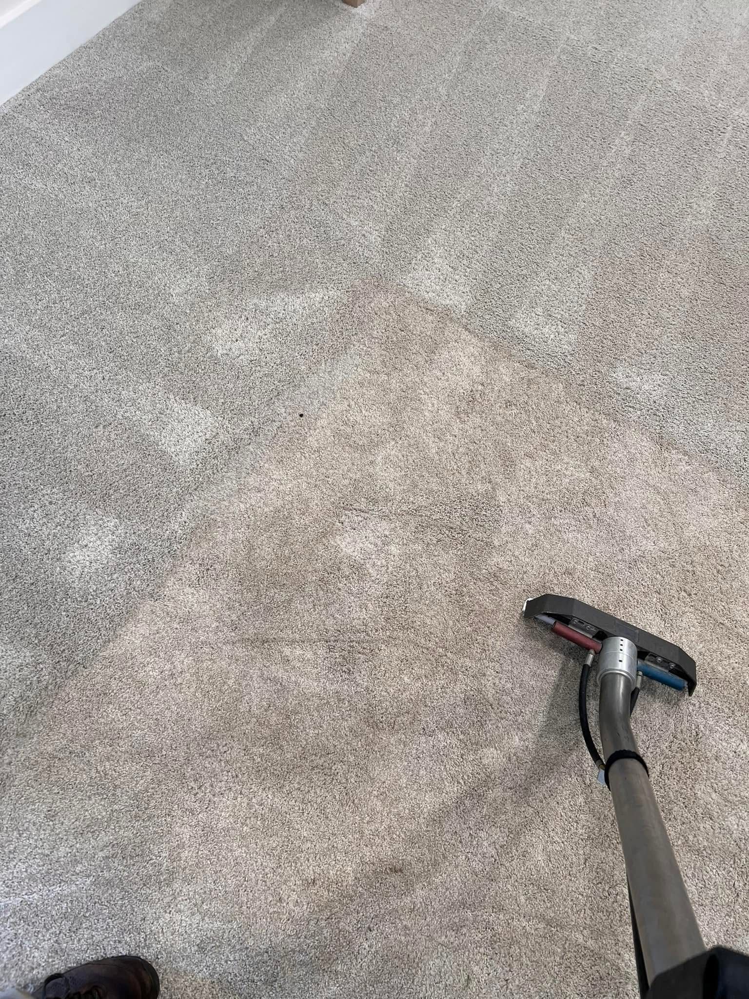 A person is using a vacuum cleaner to clean a carpet.
