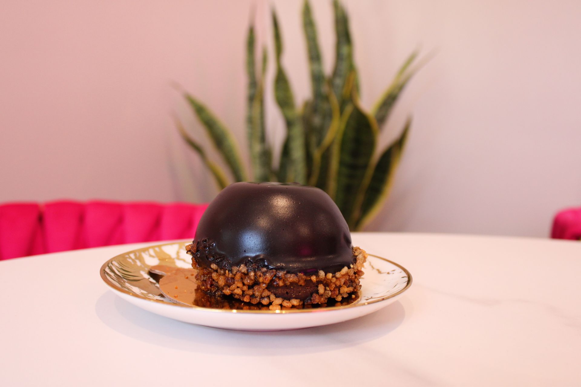 Chocolate dome cake on a decorated plate, on a white table. Pink background and a green plant are visible.