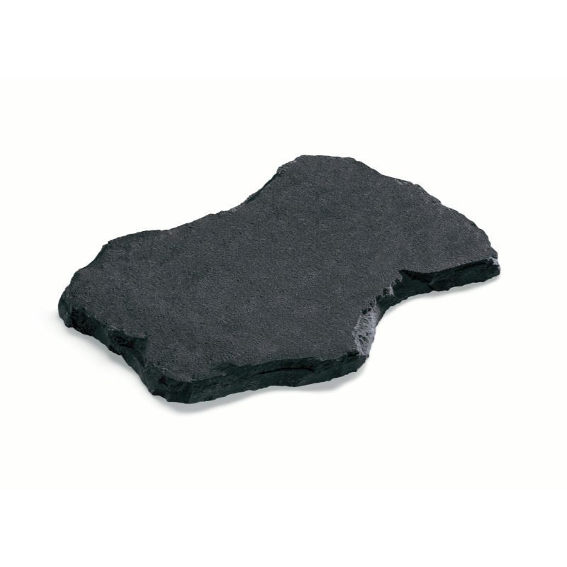 Dark, irregularly shaped paving stone on a white background.