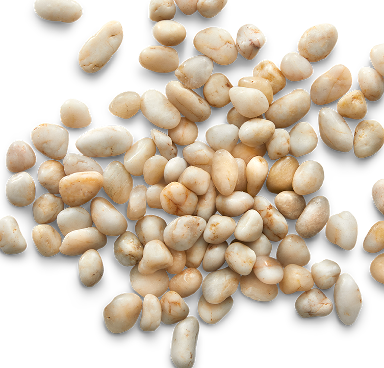 Pile of small, smooth, beige and white pebbles scattered on a white surface.