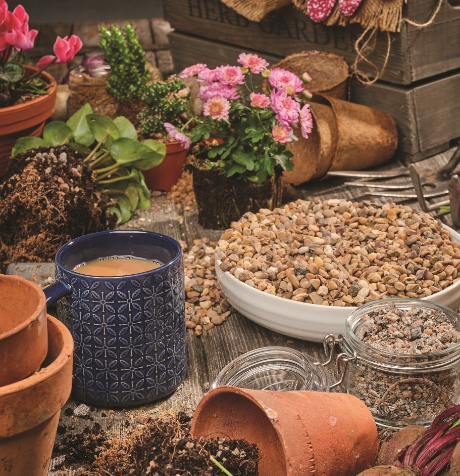 Gardening scene: potted plants, dirt, pebbles, tools, and a mug of coffee on a wooden surface.