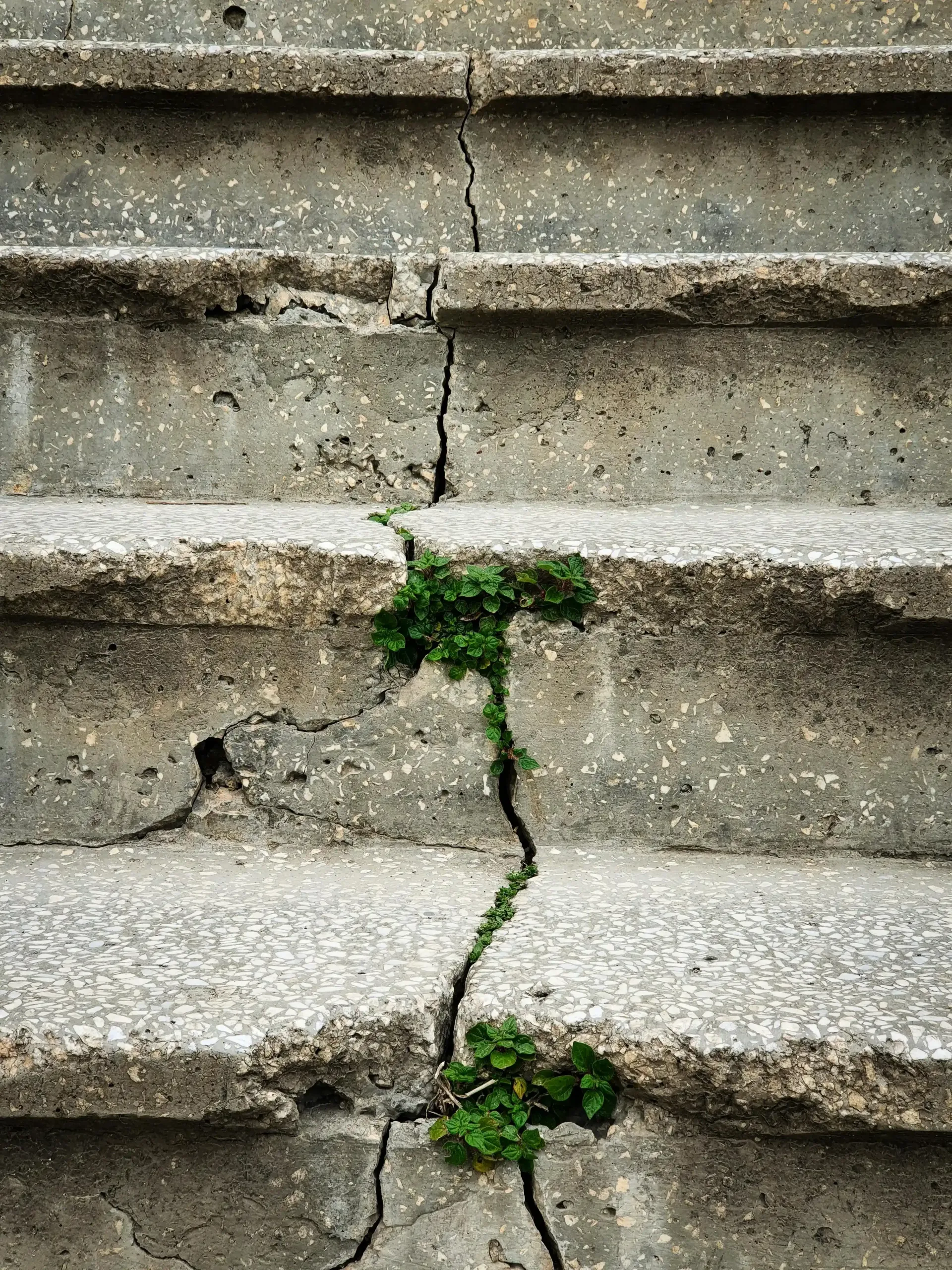 Cracked concrete steps with weeds growing through the cracks