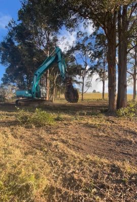 A Large Excavator Is Cutting Down Trees In A Field — GCE Earthworks Pty Ltd In Krambach, NSW