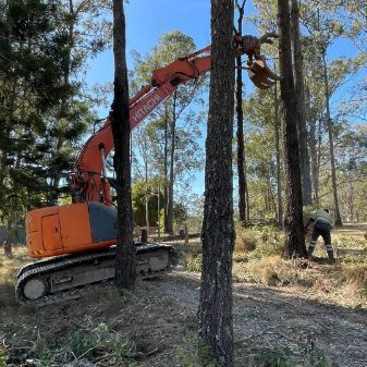A Large Orange Excavator Is Cutting Down Trees In A Forest — GCE Earthworks Pty Ltd In Krambach, NSW