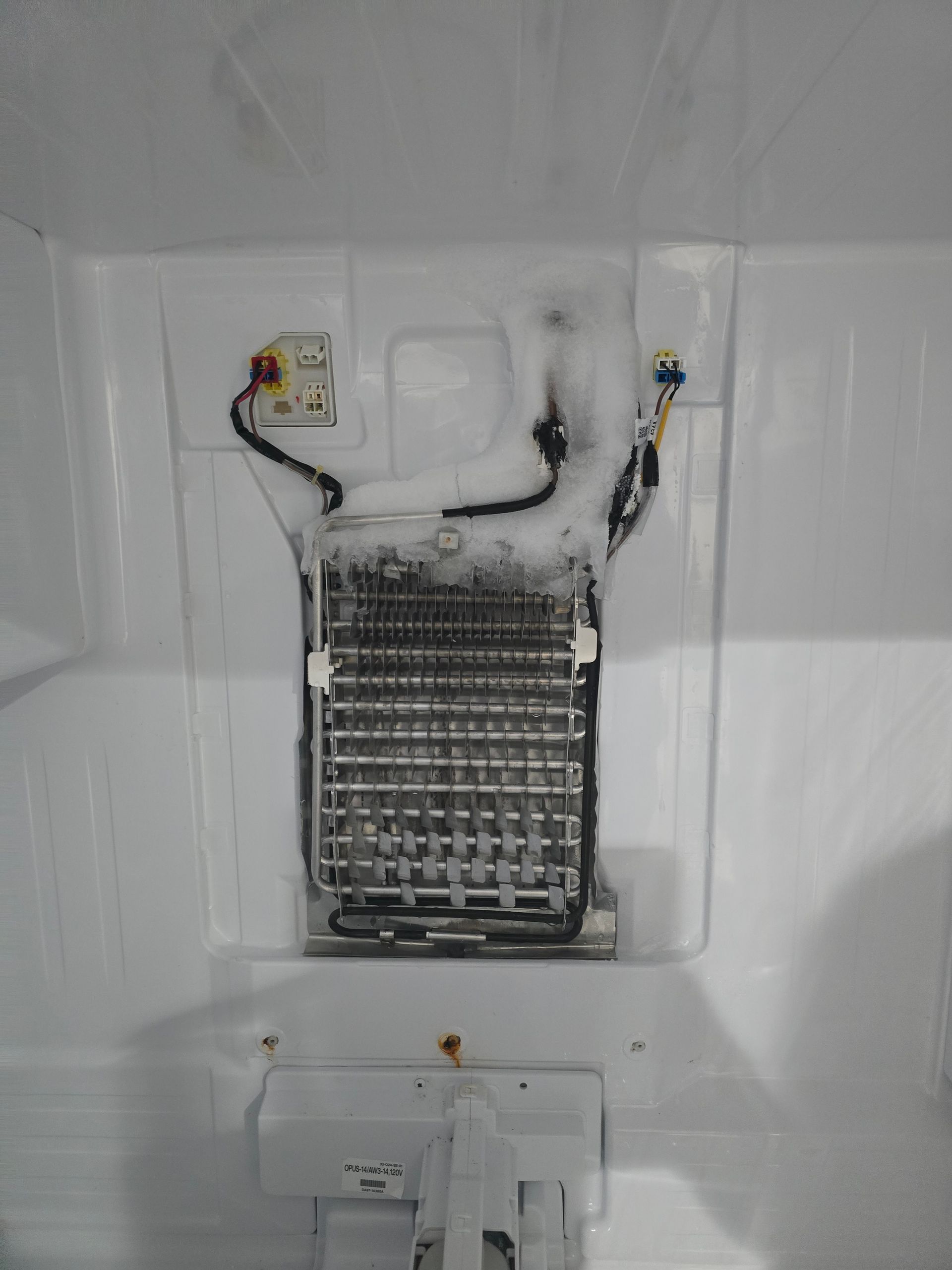 Inside a white refrigerator: a heavily frosted evaporator coil.