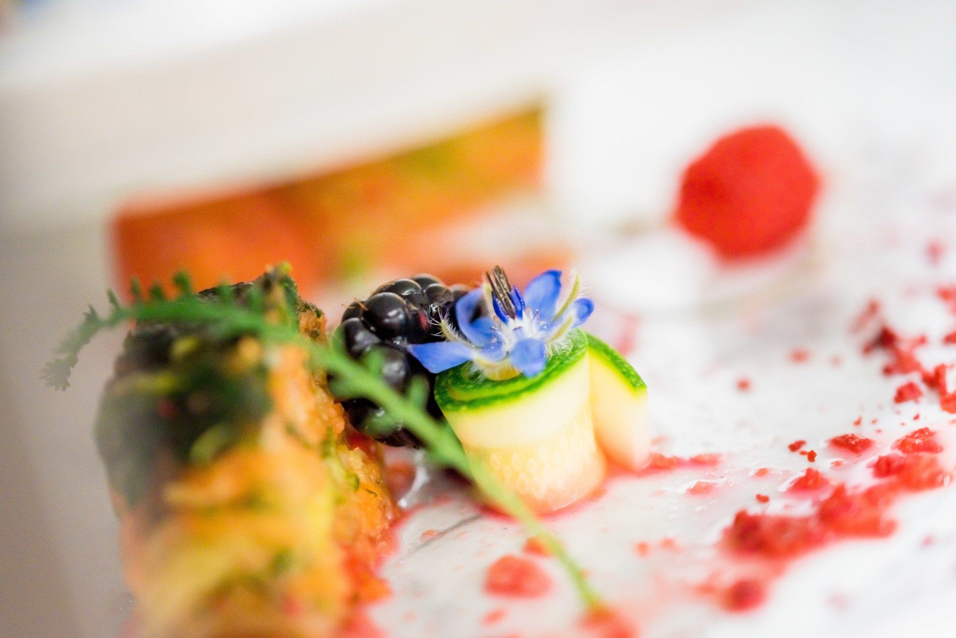 Biorganic - biologische en eco-verantwoordelijke traiteur in brussel - top of the range  