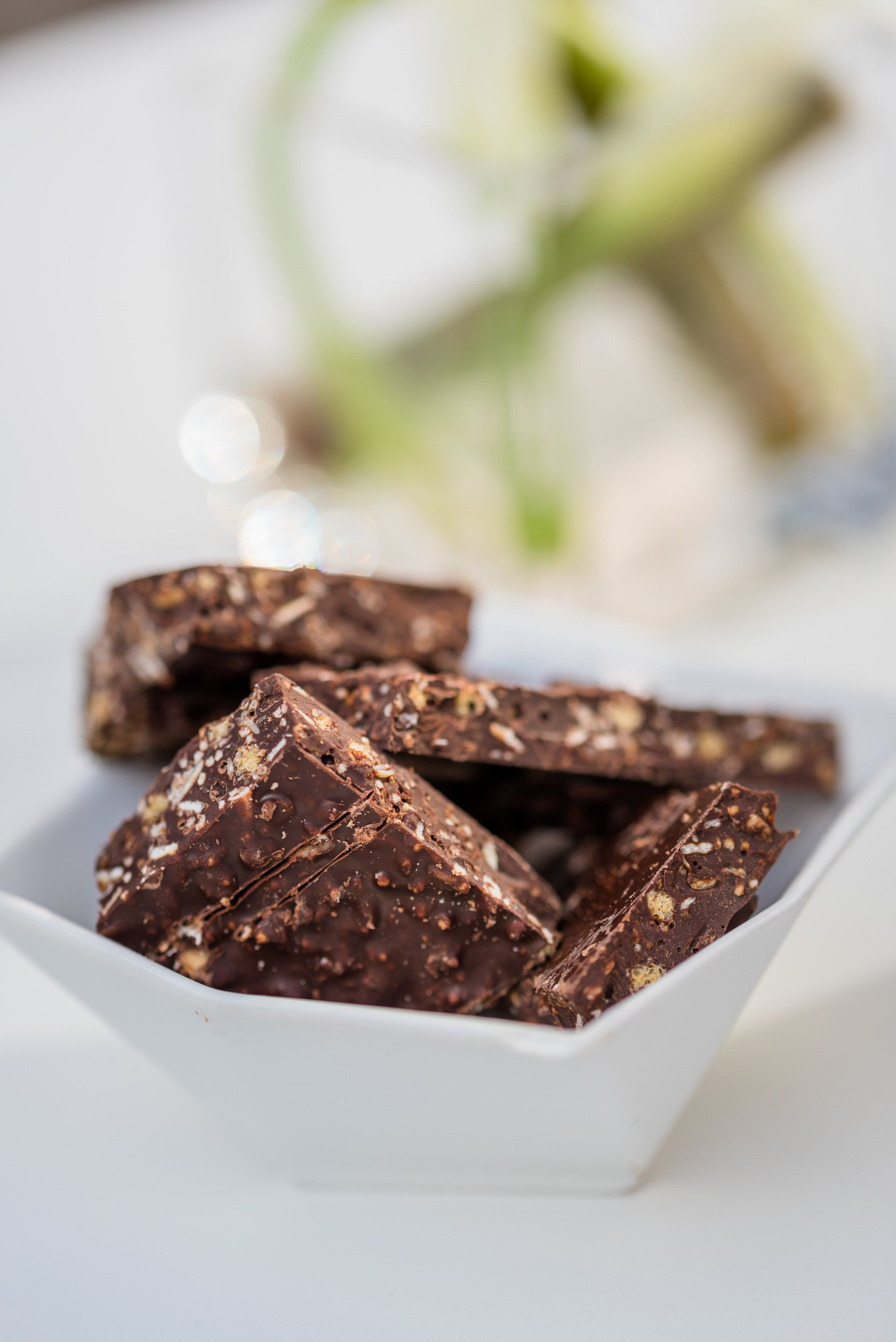 traiteur pour vos conférences d'entreprise - traiteur bio - Biorganic - bruxelles - belgique