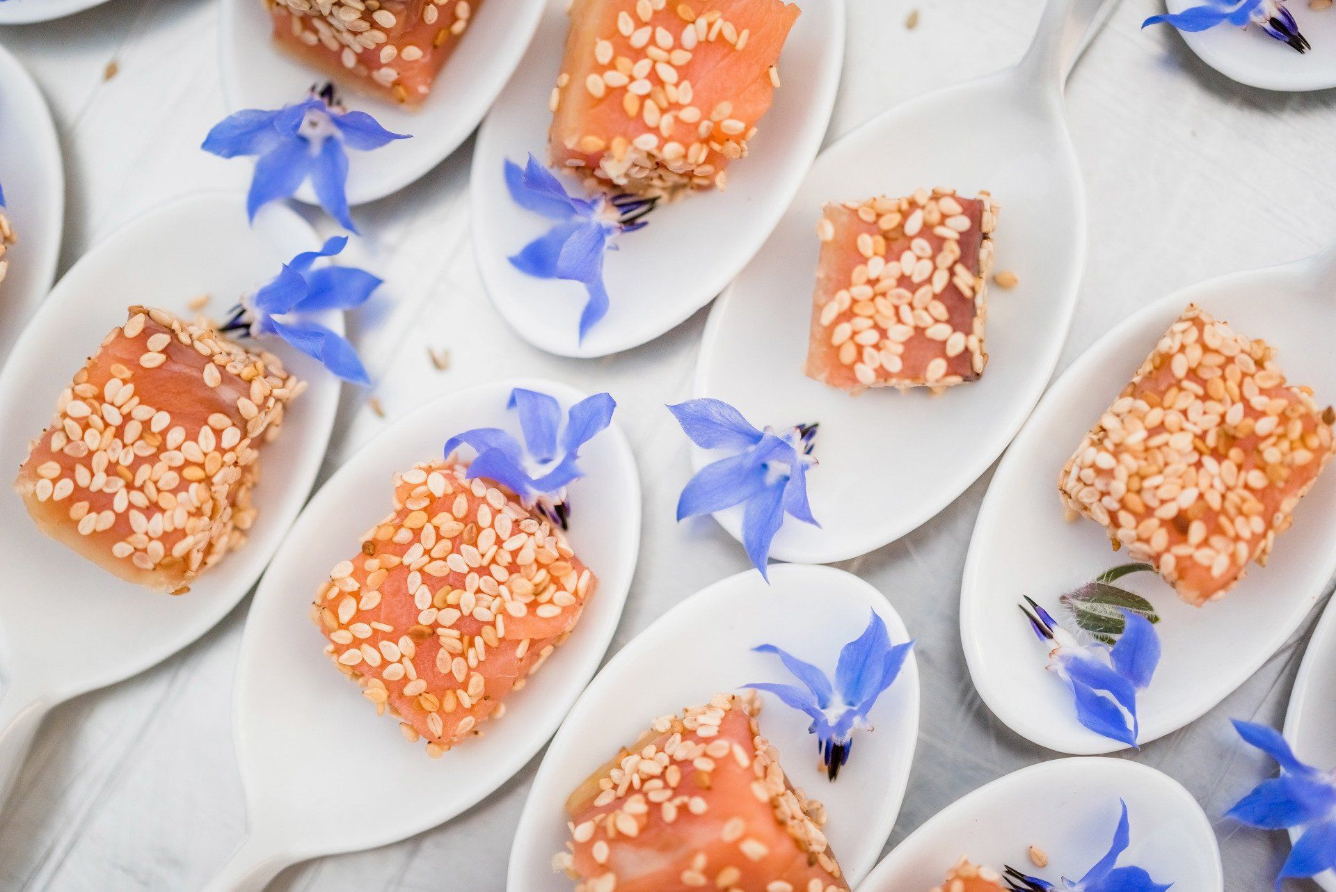 BIORGANISCHE gastronomische evenementencateraar voor bedrijfscocktail