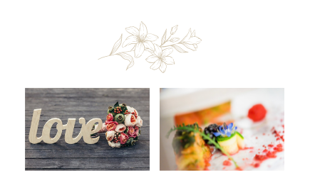 Biorganic - traiteur pour mariage en belgique - éco-responsable 