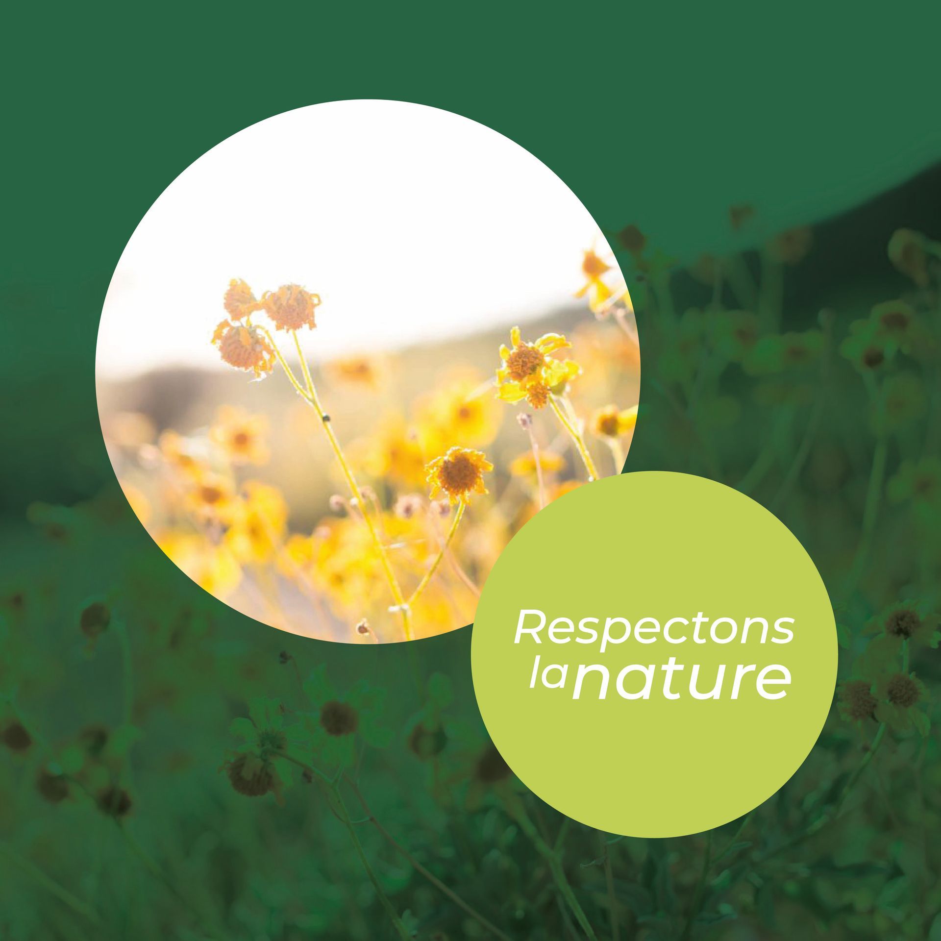 Biorganic le traiteur 100 % bio et écoresponsable engagé pour un monde durable