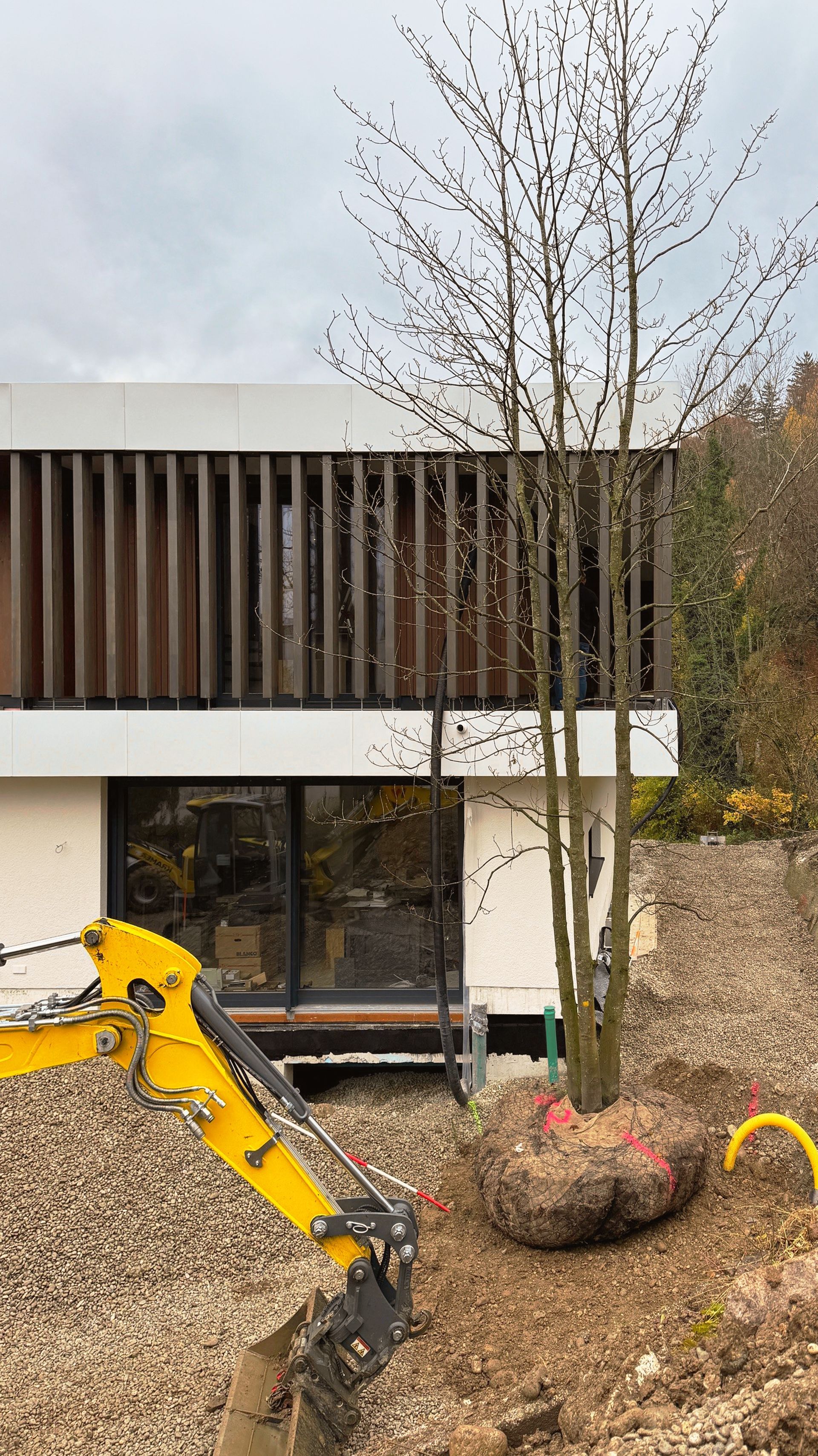 Vor einem Haus wird ein Baum gepflanzt