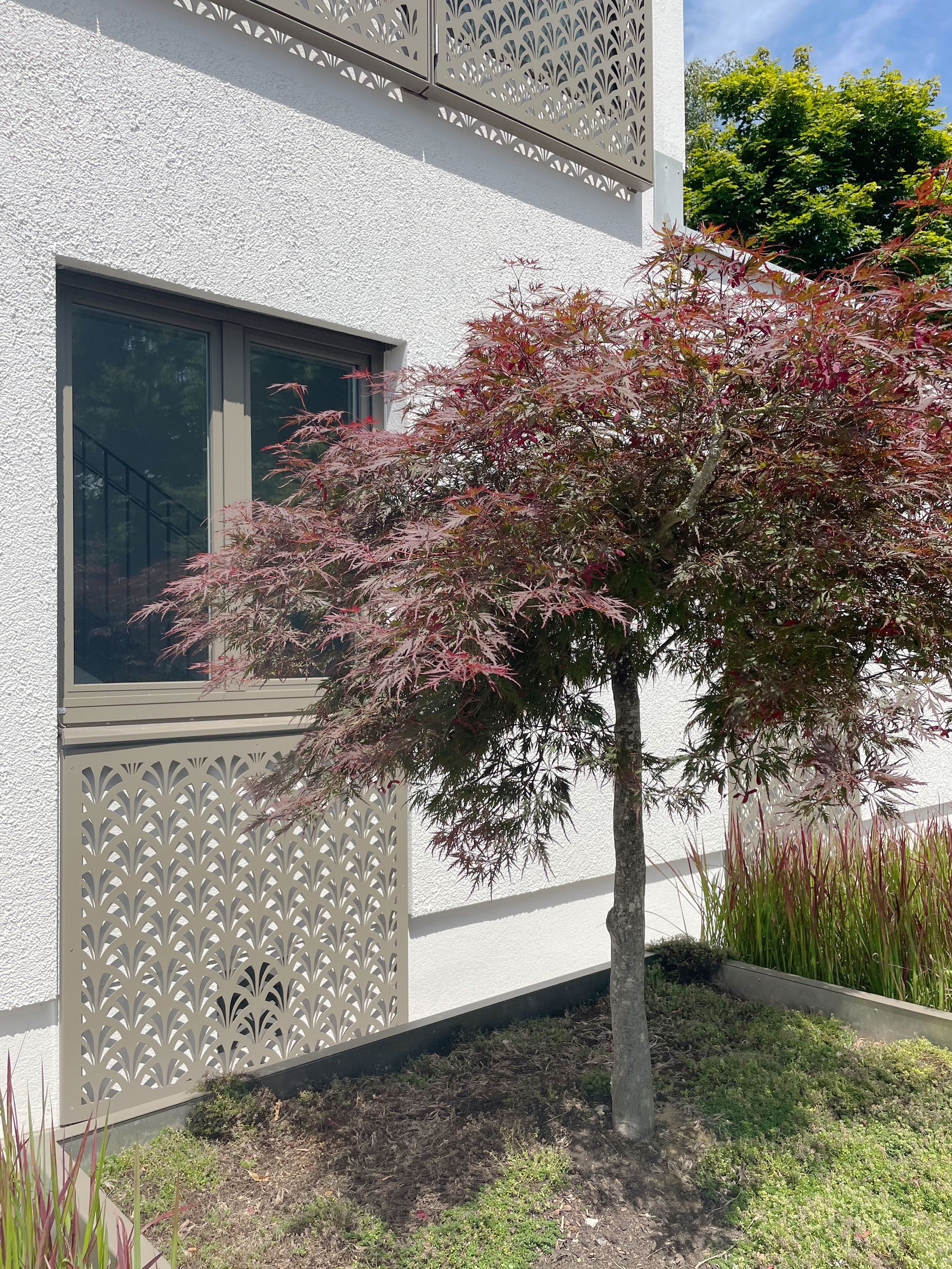 Ein weißes Gebäude mit einem Baum davor