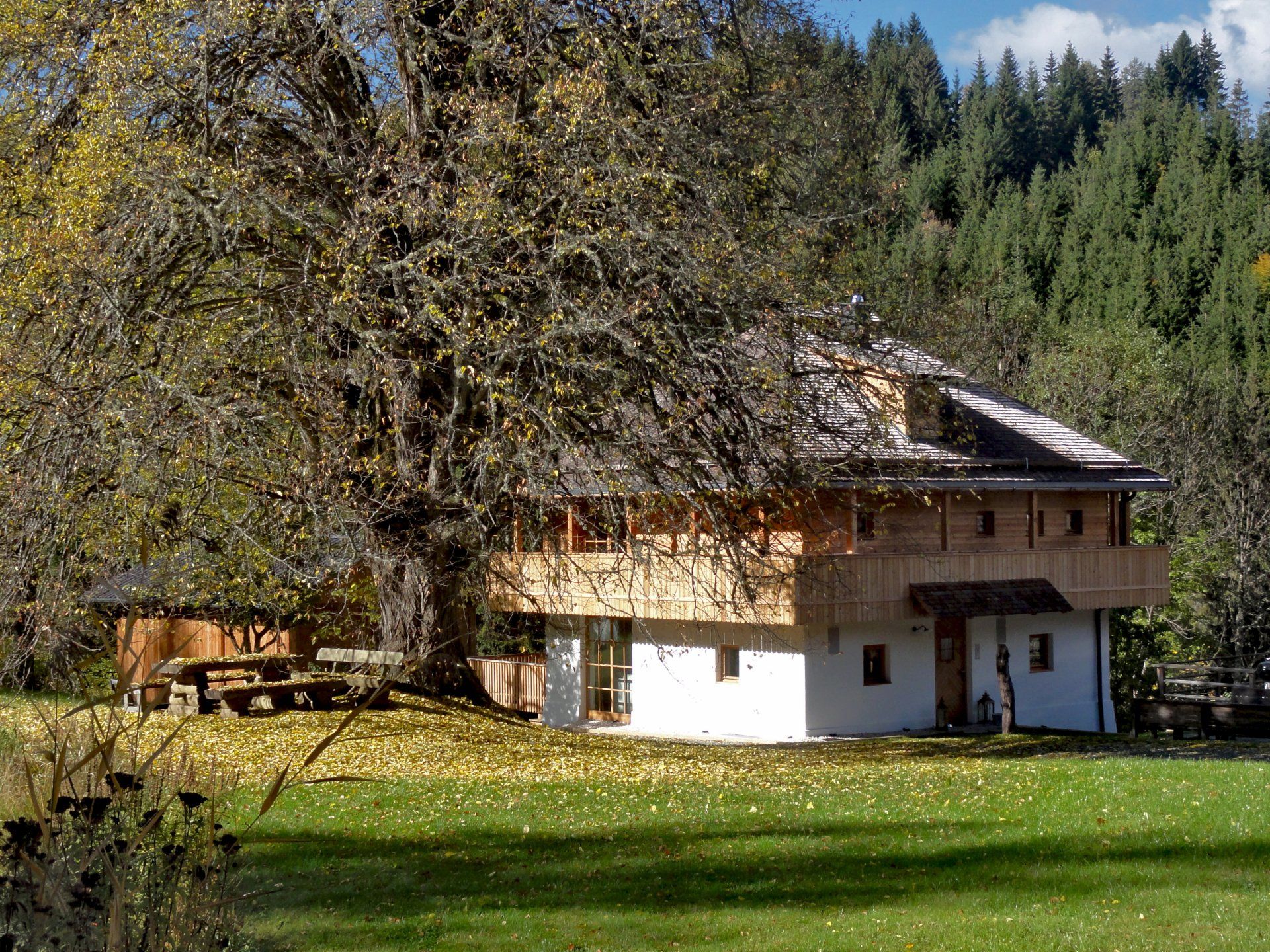 Ein Haus inmitten einer Wiese mit Bäumen im Hintergrund